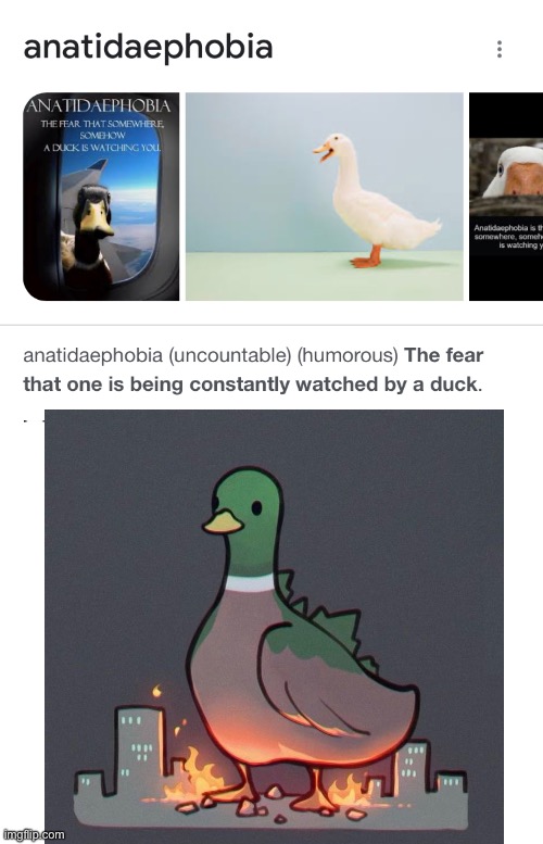 *Stalking duck noises | image tagged in duck,ducks | made w/ Imgflip meme maker