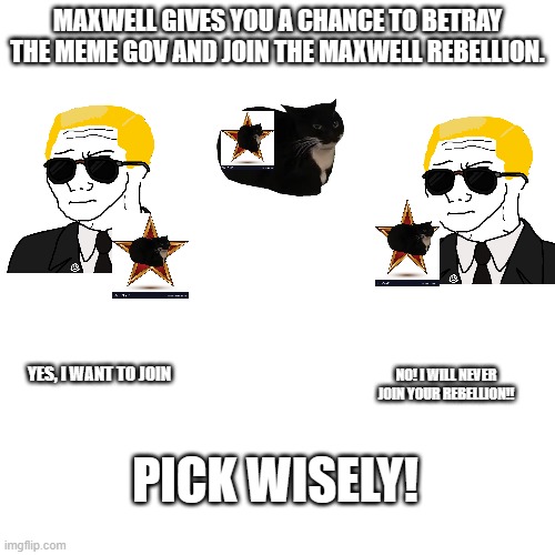MAXWELL GIVES YOU A CHANCE TO BETRAY THE MEME GOV AND JOIN THE MAXWELL REBELLION. YES, I WANT TO JOIN; NO! I WILL NEVER JOIN YOUR REBELLION!! PICK WISELY! | image tagged in black cat | made w/ Imgflip meme maker