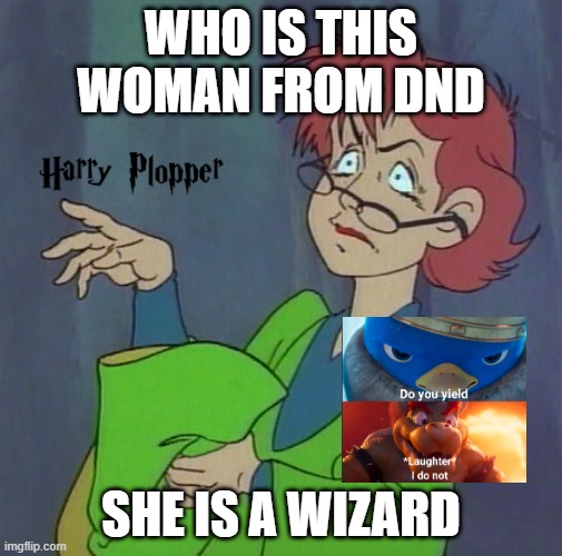 cartoon facts | WHO IS THIS WOMAN FROM DND; SHE IS A WIZARD | image tagged in woman dnd | made w/ Imgflip meme maker