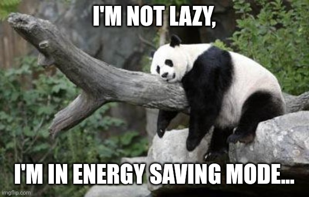 Spirit Amimal | I'M NOT LAZY, I'M IN ENERGY SAVING MODE... | image tagged in lazy panda | made w/ Imgflip meme maker