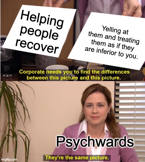 psychwards | Helping people recover; Yelling at them and treating them as if they are inferior to you. Psychwards | image tagged in memes,they're the same picture | made w/ Imgflip meme maker