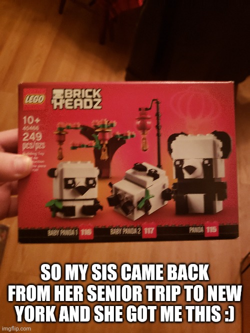 Its very cute and ill build it tomorrow | SO MY SIS CAME BACK FROM HER SENIOR TRIP TO NEW YORK AND SHE GOT ME THIS :) | made w/ Imgflip meme maker