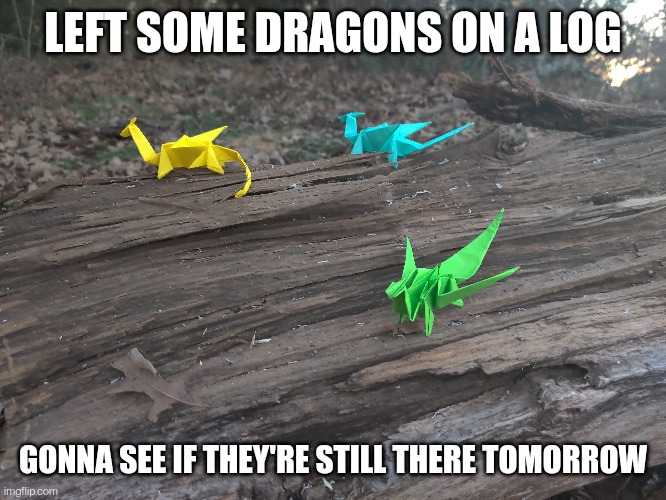 LEFT SOME DRAGONS ON A LOG; GONNA SEE IF THEY'RE STILL THERE TOMORROW | made w/ Imgflip meme maker