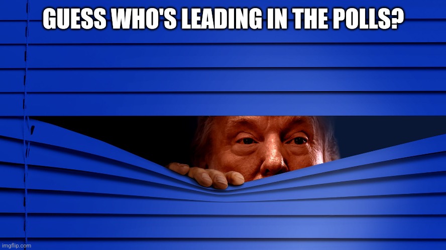 GUESS WHO'S LEADING IN THE POLLS? | image tagged in funny | made w/ Imgflip meme maker