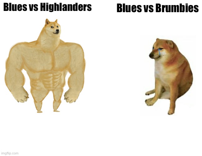 Buff Doge vs. Cheems | Blues vs Highlanders; Blues vs Brumbies | image tagged in memes,buff doge vs cheems | made w/ Imgflip meme maker