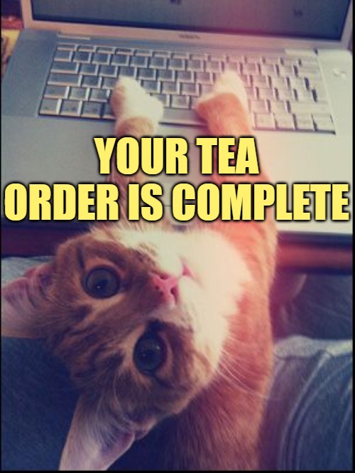 Tea Order Cat | YOUR TEA ORDER IS COMPLETE | image tagged in computer cat typing,tea time,cute cat,funny memes,lol,so cute | made w/ Imgflip meme maker