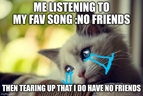 R.I.P ME :'( |  ME LISTENING TO MY FAV SONG :NO FRIENDS; THEN TEARING UP THAT I DO HAVE NO FRIENDS | image tagged in memes,first world problems cat | made w/ Imgflip meme maker