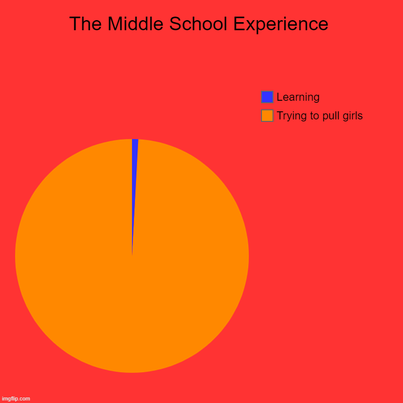 Middle School in a nutshell | The Middle School Experience | Trying to pull girls, Learning | image tagged in charts,pie charts | made w/ Imgflip chart maker