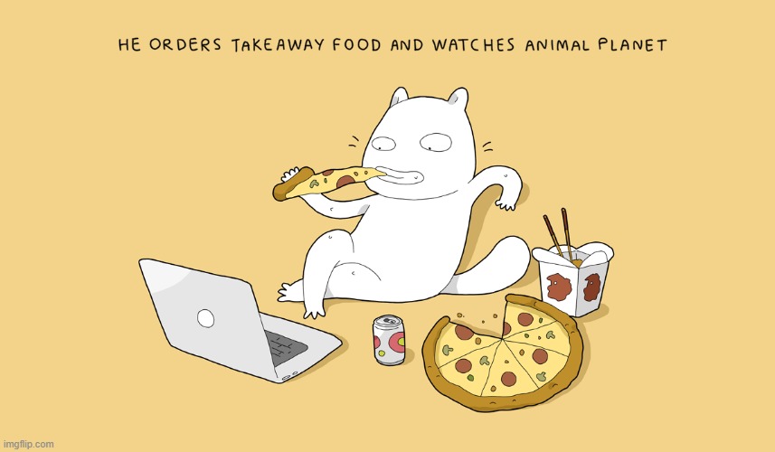 A Cat Guy's Way Of Thinking | image tagged in memes,comics,cats,order,food,watching tv | made w/ Imgflip meme maker