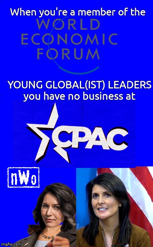 WEF members don't belong at Cpac | image tagged in nwo | made w/ Imgflip meme maker