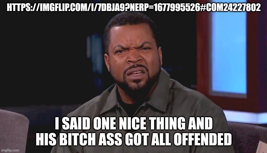 Really? Ice Cube | HTTPS://IMGFLIP.COM/I/7DBJA9?NERP=1677995526#COM24227802; I SAID ONE NICE THING AND HIS BITCH ASS GOT ALL OFFENDED | image tagged in really ice cube | made w/ Imgflip meme maker