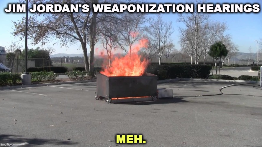 JIM JORDAN'S WEAPONIZATION HEARINGS; MEH. | image tagged in maga,right wing,weirdo,failure | made w/ Imgflip meme maker