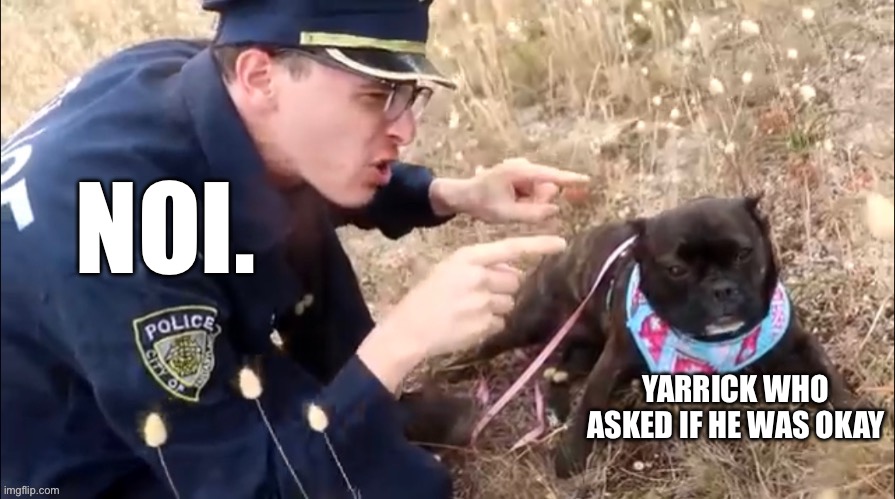 Idubbbz yelling at dog | NOI. YARRICK WHO ASKED IF HE WAS OKAY | image tagged in idubbbz yelling at dog | made w/ Imgflip meme maker