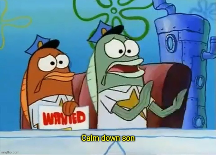 Calm down son | Calm down son | image tagged in calm down son | made w/ Imgflip meme maker