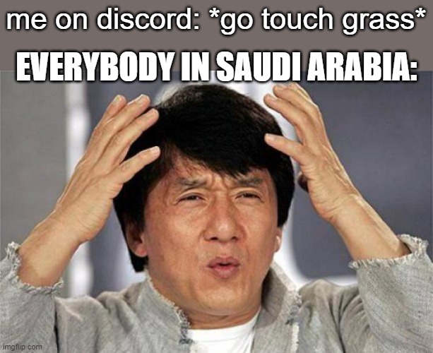 Jackie Chan WTF Face | me on discord: *go touch grass*; EVERYBODY IN SAUDI ARABIA: | image tagged in jackie chan wtf face | made w/ Imgflip meme maker