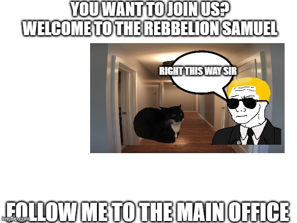 yes, I'll join option. | YOU WANT TO JOIN US? WELCOME TO THE REBBELION SAMUEL; RIGHT THIS WAY SIR; FOLLOW ME TO THE MAIN OFFICE | image tagged in cats | made w/ Imgflip meme maker