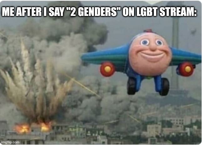 Facts | ME AFTER I SAY "2 GENDERS" ON LGBT STREAM: | image tagged in flying away from chaos | made w/ Imgflip meme maker