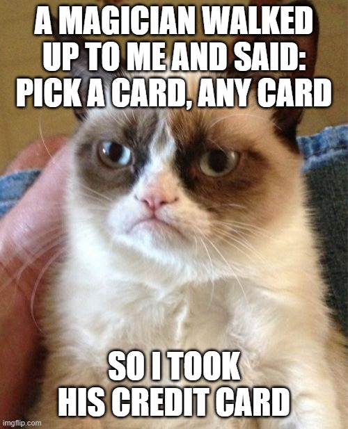 Grumpy Cat | A MAGICIAN WALKED UP TO ME AND SAID: PICK A CARD, ANY CARD; SO I TOOK HIS CREDIT CARD | image tagged in memes,grumpy cat | made w/ Imgflip meme maker