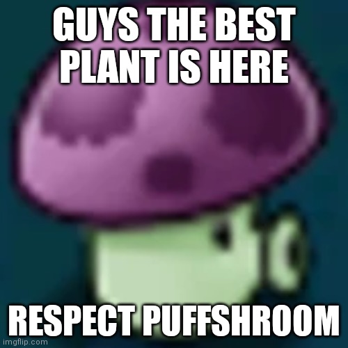 Bow Down To The Best Plant | GUYS THE BEST PLANT IS HERE; RESPECT PUFFSHROOM | image tagged in plants vs zombies | made w/ Imgflip meme maker