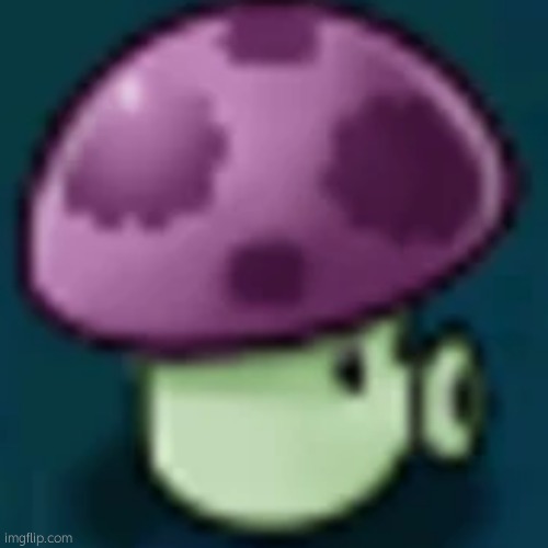 The Puffshroom | image tagged in the puffshroom | made w/ Imgflip meme maker