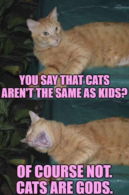I don't have kids; I have gods | YOU SAY THAT CATS AREN'T THE SAME AS KIDS? OF COURSE NOT. CATS ARE GODS. | image tagged in laughing cat,cats,pets,petlovers,humor,funny memes | made w/ Imgflip meme maker