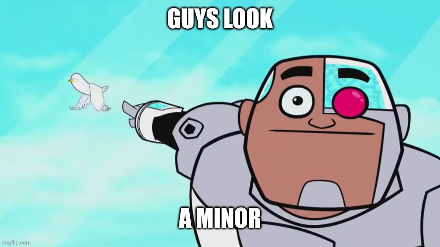 Guys look, a birdie | GUYS LOOK A MINOR | image tagged in guys look a birdie | made w/ Imgflip meme maker