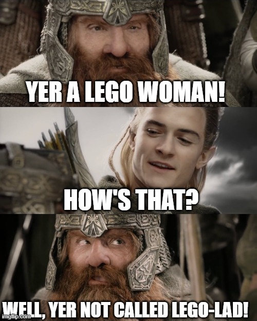Pun day Sunday | YER A LEGO WOMAN! HOW'S THAT? WELL, YER NOT CALLED LEGO-LAD! | image tagged in aye i could do that blank | made w/ Imgflip meme maker
