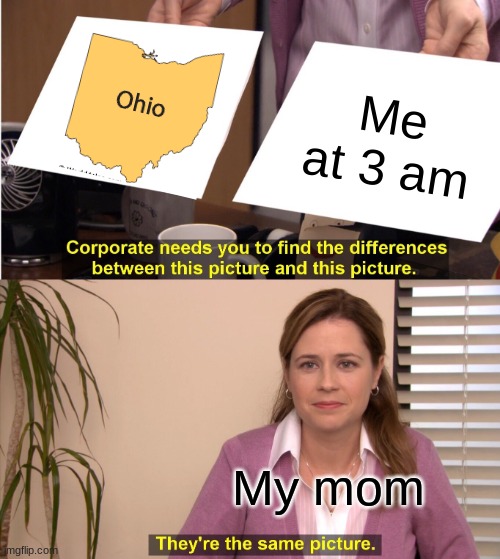 They're The Same Picture Meme | Me at 3 am; My mom | image tagged in memes,they're the same picture | made w/ Imgflip meme maker