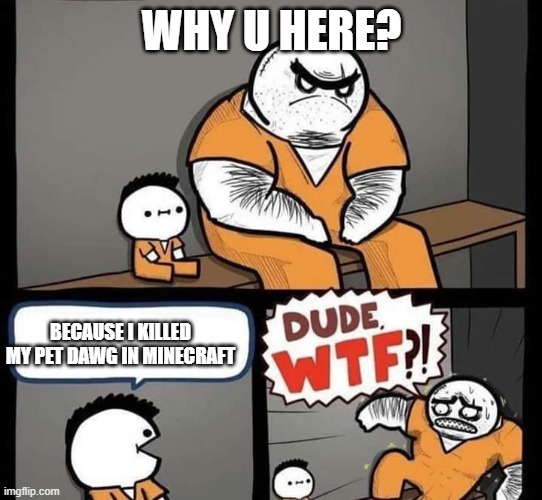 Dude wtf | WHY U HERE? BECAUSE I KILLED MY PET DAWG IN MINECRAFT | image tagged in dude wtf | made w/ Imgflip meme maker