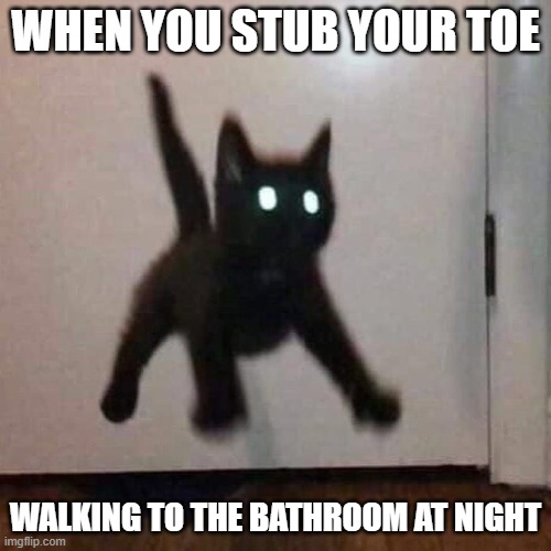 startled black kitten | WHEN YOU STUB YOUR TOE; WALKING TO THE BATHROOM AT NIGHT | image tagged in startled black kitten | made w/ Imgflip meme maker