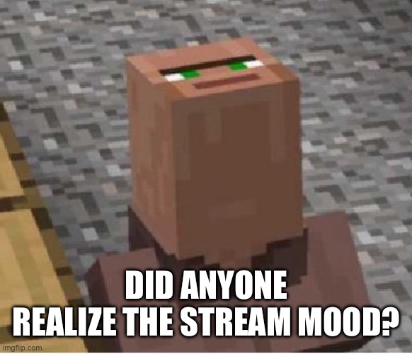 Minecraft Villager Looking Up | DID ANYONE REALIZE THE STREAM MOOD? | image tagged in minecraft villager looking up | made w/ Imgflip meme maker
