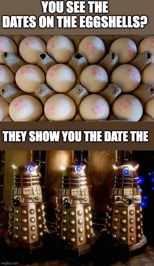 eggs terminate | YOU SEE THE DATES ON THE EGGSHELLS? THEY SHOW YOU THE DATE THE | image tagged in daleks,exterminate,pun,eggs | made w/ Imgflip meme maker