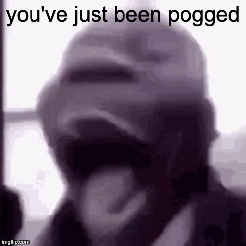 POGGED | you've just been pogged | image tagged in pogged | made w/ Imgflip meme maker