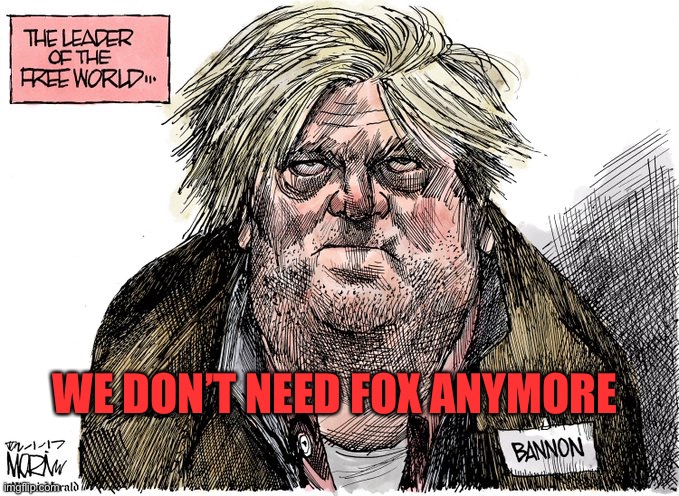 Steve Bannon | WE DON’T NEED FOX ANYMORE | image tagged in steve bannon | made w/ Imgflip meme maker