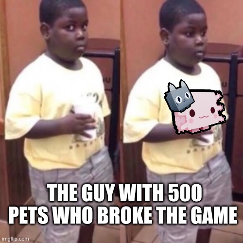 Fat Black Kid Looking Sideways | THE GUY WITH 500 PETS WHO BROKE THE GAME | image tagged in fat black kid looking sideways | made w/ Imgflip meme maker