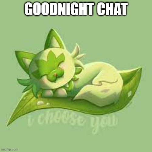 GOODNIGHT CHAT | made w/ Imgflip meme maker