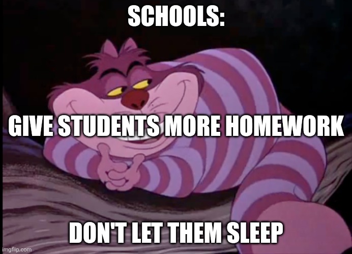 Chelsea Cat logo | SCHOOLS:; GIVE STUDENTS MORE HOMEWORK; DON'T LET THEM SLEEP | image tagged in chelsea cat logo | made w/ Imgflip meme maker