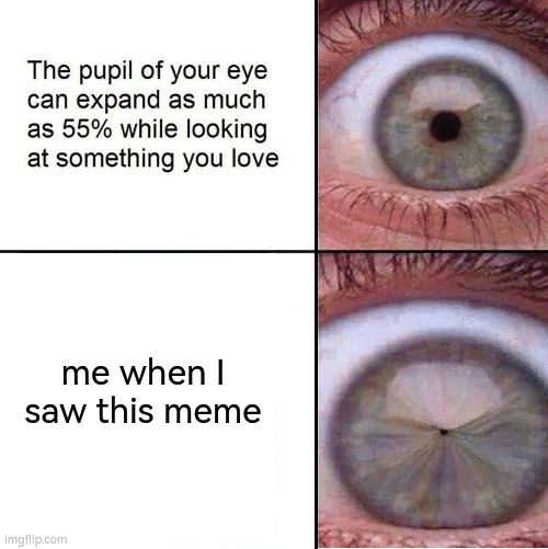 Eye Pupil (Shrinking) Template | me when I saw this meme | image tagged in eye pupil shrinking template | made w/ Imgflip meme maker