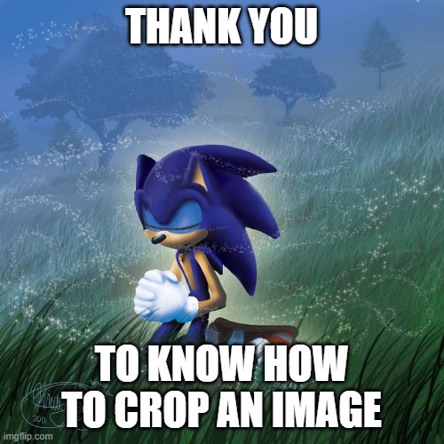 Thank you god | THANK YOU TO KNOW HOW TO CROP AN IMAGE | image tagged in thank you god | made w/ Imgflip meme maker
