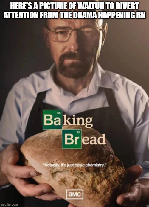 baking bread | HERE'S A PICTURE OF WALTUH TO DIVERT ATTENTION FROM THE DRAMA HAPPENING RN | image tagged in baking bread | made w/ Imgflip meme maker