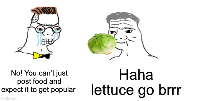 I bet people still try to do this | No! You can’t just post food and expect it to get popular; Haha lettuce go brrr | image tagged in nooo haha go brrr,lettuce,memes,funny,aaaaaaaaaaaaaaaaaaaaaaaaaaa | made w/ Imgflip meme maker