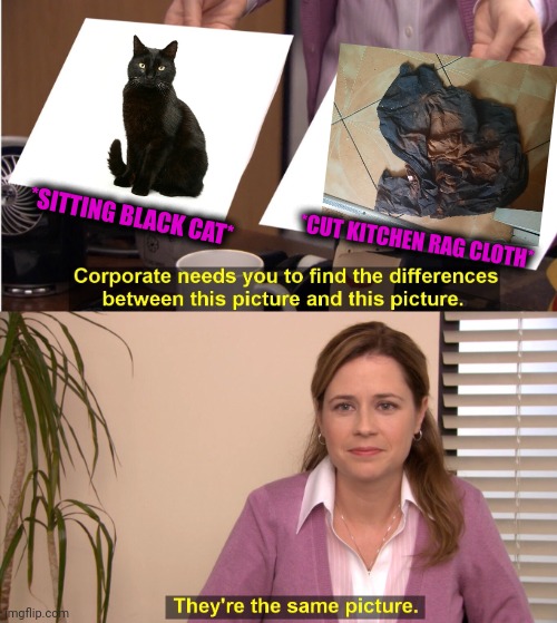 -On every look. | *SITTING BLACK CAT*; *CUT KITCHEN RAG CLOTH* | image tagged in memes,they're the same picture,oh no black cat,lord kitchener,clothes,funny animals | made w/ Imgflip meme maker