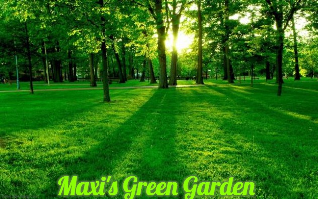 Grass and trees | Maxi's Green Garden | image tagged in grass and trees,maxi's green garden,slavic,maxis green garden | made w/ Imgflip meme maker
