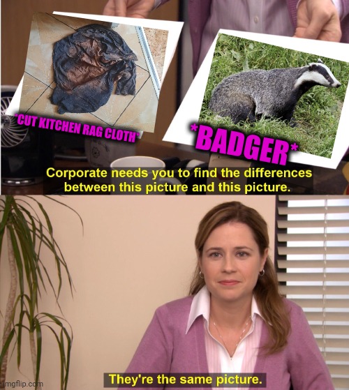 -Wild naturalistic illusion. | *BADGER*; *CUT KITCHEN RAG CLOTH* | image tagged in memes,they're the same picture,honey badger,lord kitchener,clothes,funny animals | made w/ Imgflip meme maker