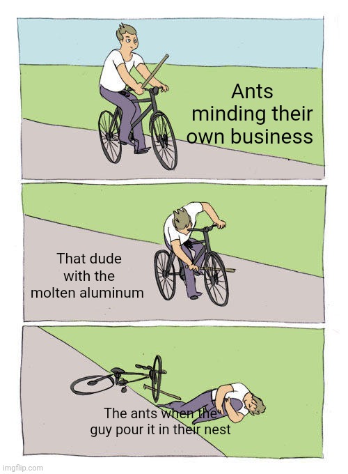Bike Fall Meme | Ants minding their own business; That dude with the molten aluminum; The ants when the guy pour it in their nest | image tagged in memes,bike fall | made w/ Imgflip meme maker