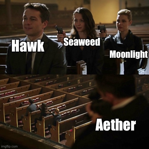 Aether killed Moonlight who killed Seaweed who killed Hawk. | Seaweed; Moonlight; Hawk; Aether | image tagged in church sniper,oc | made w/ Imgflip meme maker