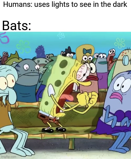 Idk | Bats:; Humans: uses lights to see in the dark | image tagged in spongebob yelling,memes,funny,bats,humans | made w/ Imgflip meme maker