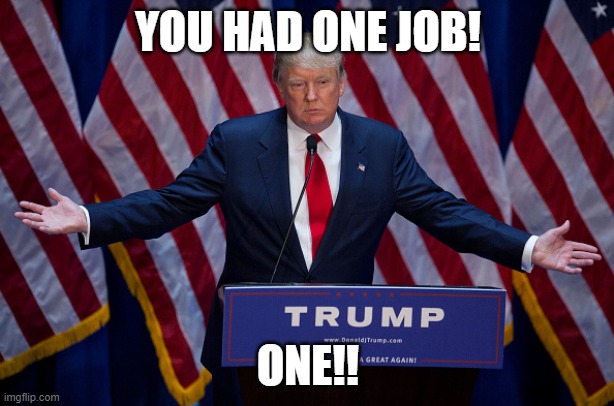 Donald Trump | YOU HAD ONE JOB! ONE!! | image tagged in donald trump | made w/ Imgflip meme maker