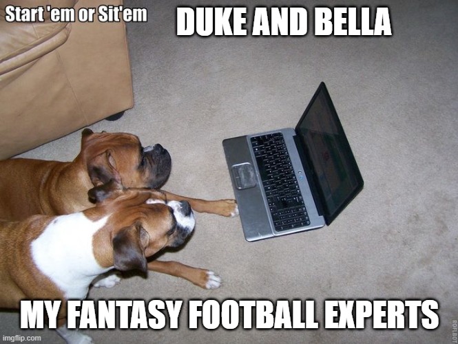 Duke and Bella | DUKE AND BELLA; MY FANTASY FOOTBALL EXPERTS | image tagged in duke and bella | made w/ Imgflip meme maker