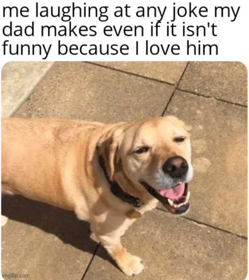 image tagged in memes,funny,wholesome | made w/ Imgflip meme maker
